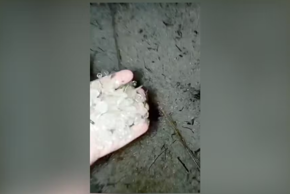 Chuva de granizo deixa bairros de Petrópolis cobertos de gelo; saiba se fenômeno pode se repetir hoje no RJ